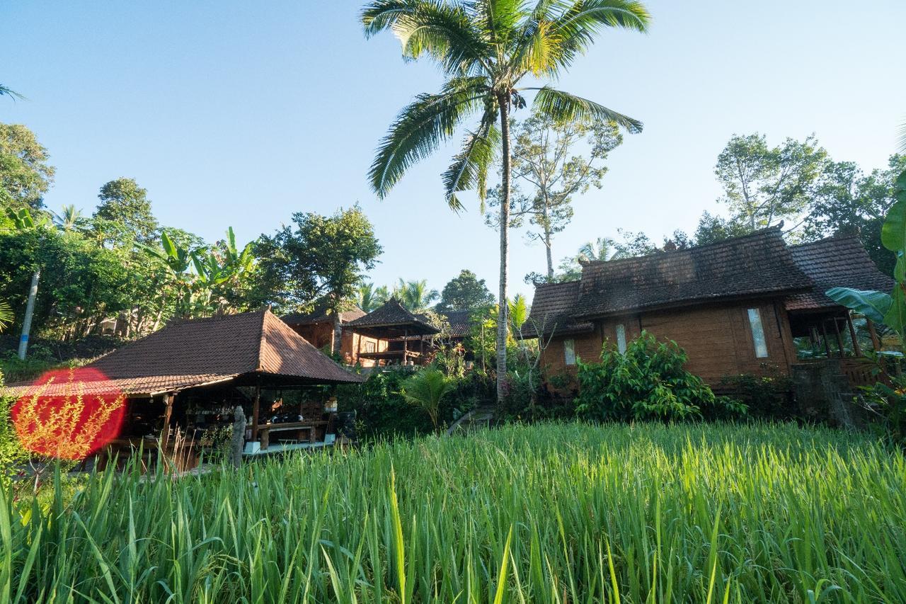 Hotel Song Broek Bali à Payangan Extérieur photo
